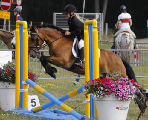 concours-hippique-2020
